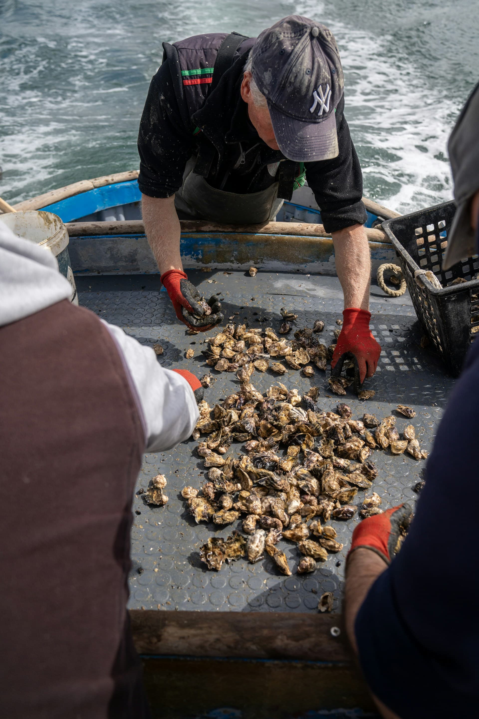 Explorez.eu — Ostréiculture : Dégustation au large, sur la barge (Bassin d'Arcachon)